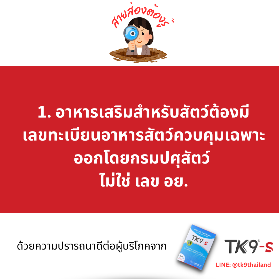 Images/Blog/3HkAhsIw-250917 Consumer Tips - 1.png