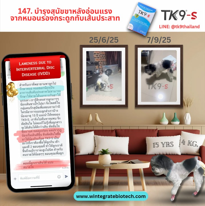 Images/Blog/8TSqVXeu-147.png