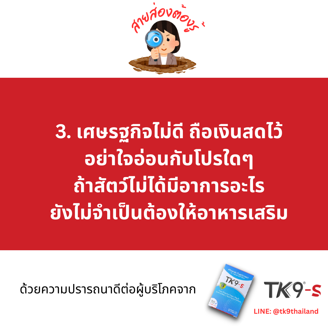 Images/Blog/E3seFdjk-250919 Consumer Tips - 3.png