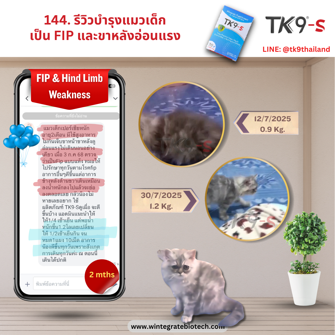 Images/Blog/Fl8Iwifb-144.png