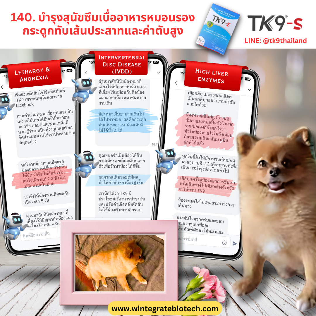 Images/Blog/MdY7dbKX-140.png