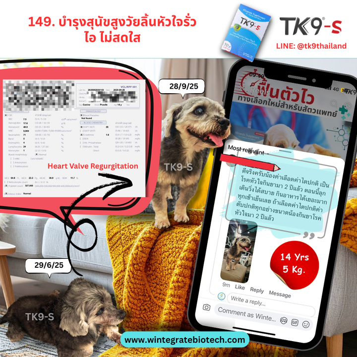Images/Blog/a67SFdIe-149.png