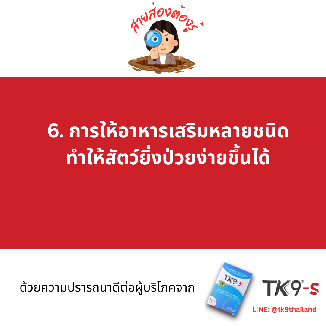 Images/Blog/kD06KopB-250922 Consumer Tips - 6.png