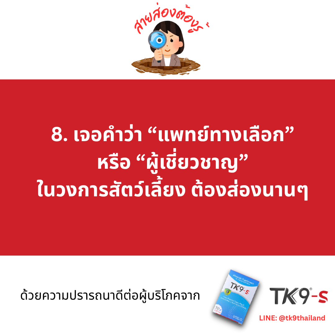 Images/Blog/lGXLgMEx-251018 Consumer Tips - 8.png