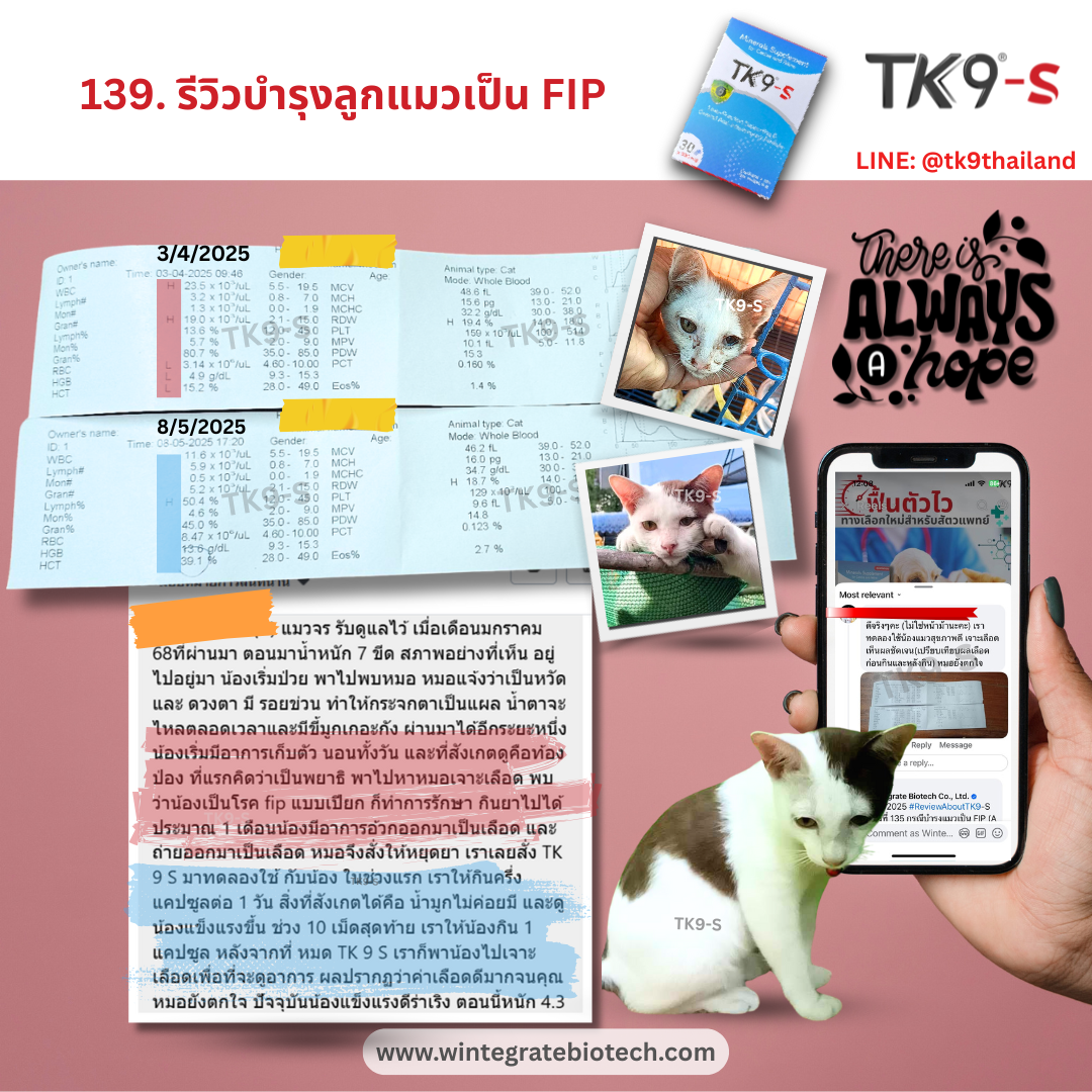 Images/Blog/sH60sQtr-139.png